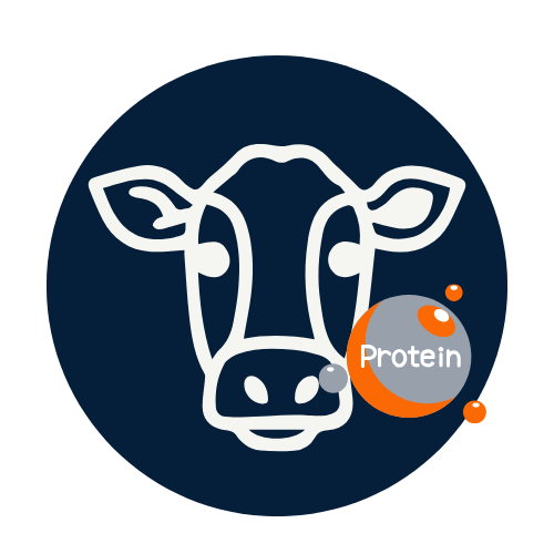 Proteina de vaca